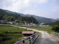 大野ヶ原支線林道