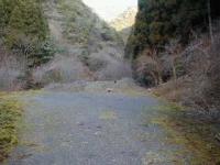 石西林道