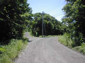 泉川林道