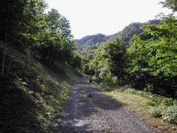 釧勝峠林道