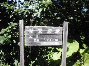 茶安別林道