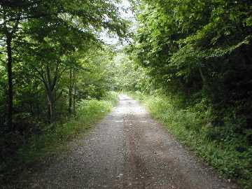 瀞川氷ノ山林道