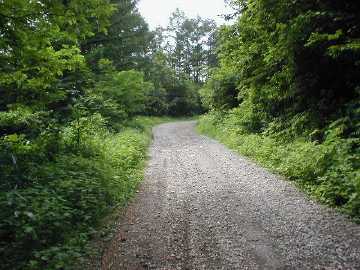 瀞川氷ノ山林道