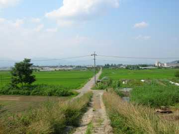 倉科坂林道
