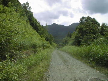 七ヶ岳林道