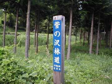 菅の沢林道