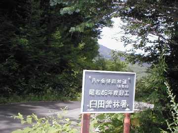 八ヶ岳林道