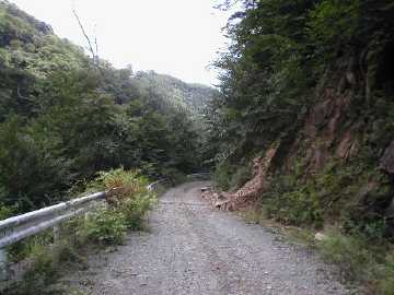 奈良子林道