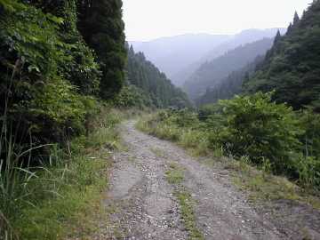 白蔵岩野川内林道