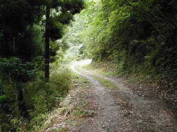 白蔵岩野川内林道