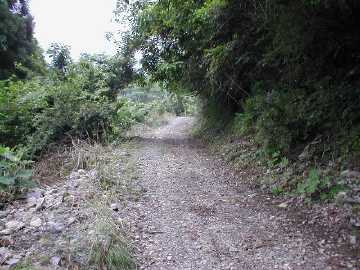 白蔵岩野川内林道