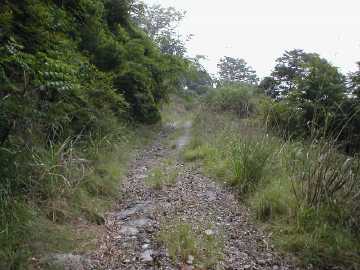 白蔵岩野川内林道