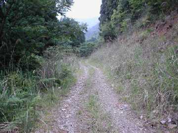 白蔵岩野川内林道