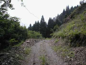 白蔵岩野川内林道