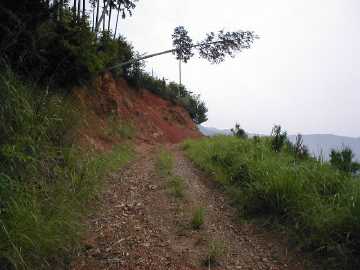 白蔵岩野川内林道