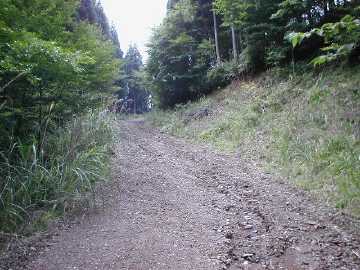 白蔵岩野川内林道