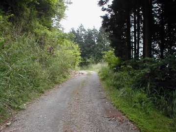 白蔵岩野川内林道