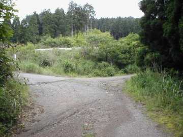 白蔵岩野川内林道