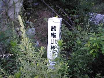 鈴庫山林道