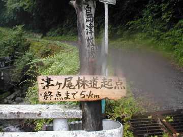 津ヶ尾林道