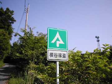 横谷林道