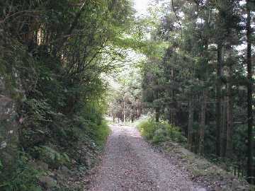 横谷林道