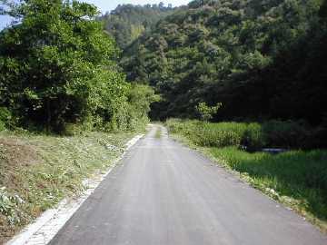 藤ヶ成林道