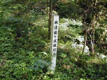藤ヶ成林道