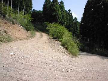 藤ヶ成林道