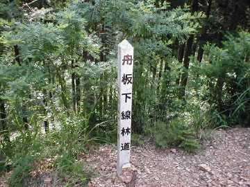 藤ヶ成林道
