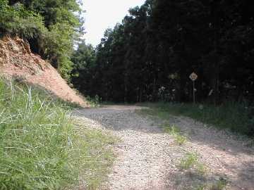 藤ヶ成林道