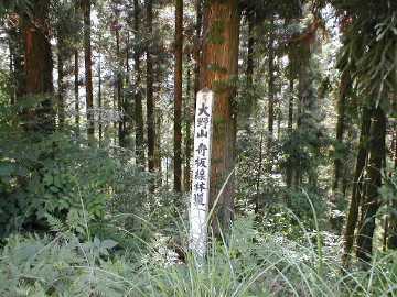 藤ヶ成林道