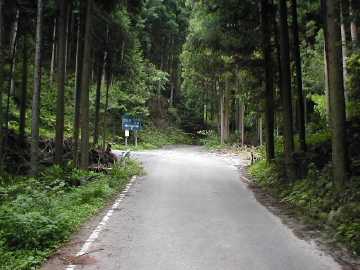 井内峠林道