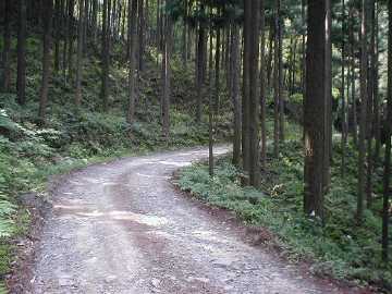井内峠林道