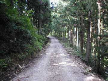 井内峠林道