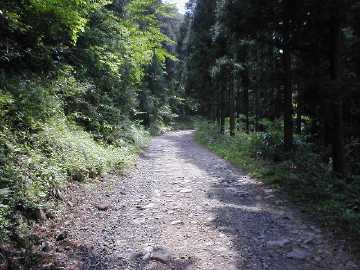 井内峠林道
