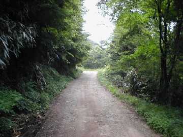 井内峠林道
