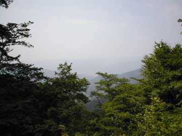 井内峠林道