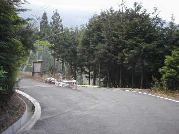 岩原瀬林道