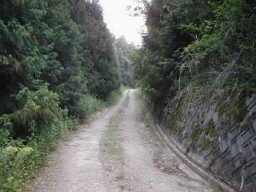 岩原瀬林道