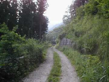 岩原瀬林道