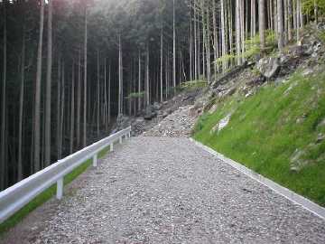 岩原瀬林道