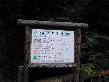 七々木林道