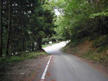 狼ヶ谷大谷林道