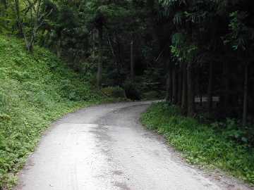 町道大野ヶ原線（父二峰林道）