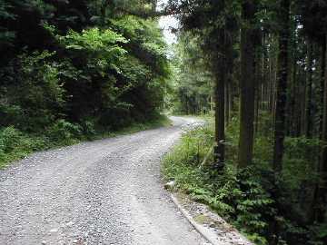 町道大野ヶ原線（父二峰林道）