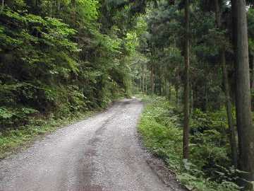 町道大野ヶ原線（父二峰林道）