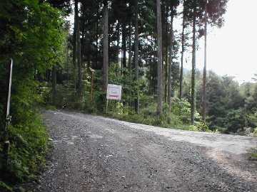 町道大野ヶ原線（父二峰林道）