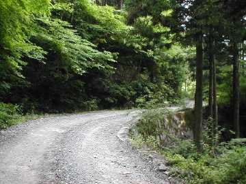 町道大野ヶ原線（父二峰林道）