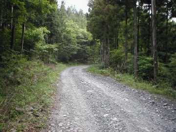 町道大野ヶ原線（父二峰林道）